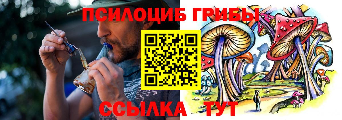 Галлюциногенные грибы Psilocybine cubensis Люберцы